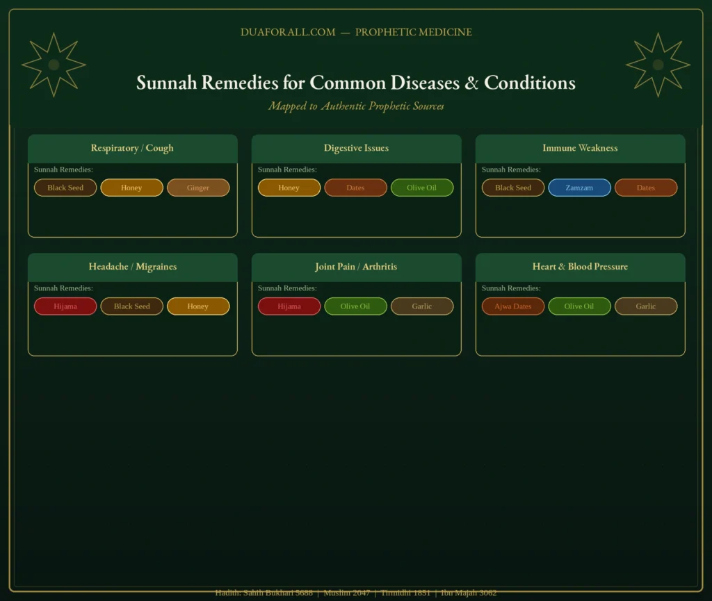 sunnah remedies for common diseases and conditions